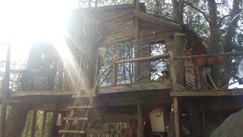 eco friendly treehouse